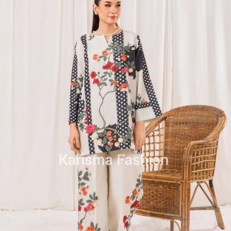 Sora Pakistani Inspired Co-ord Set A-(103)